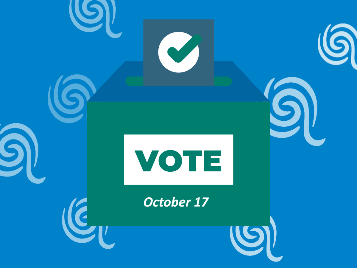 Voter