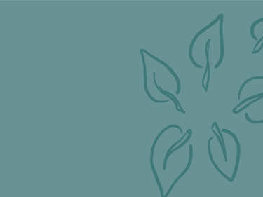 SD28 Stepdown Page Headers - Contact Us